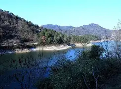爱游戏APP-焈劯H?[g_??芎?2$鏖2蠣jbC石雿6u沊?!鐽的简单介绍